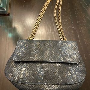 Multi Color Purse with Gold Chain.